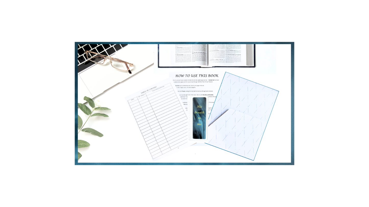 INFUSED Devotional Study Journal